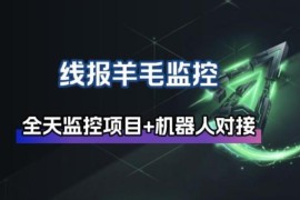 线报羊毛监控工具功能说明 支持自动挂机监控与群机器人通知