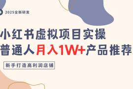 小红书虚拟项目实操指南 新手起店方法及高利润产品推荐