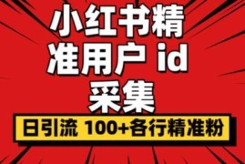 小红书精准用户ID采集器使用指南 附软件下载及引流实操方法
