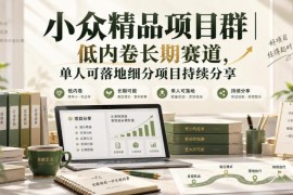 低内卷小众精品项目群介绍 单人可落地轻资产长期运营项目