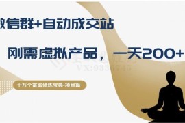 微信群搭配自动成交站操作刚需虚拟产品 日入200+项目拆解