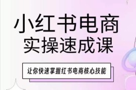 小红书电商实操速成课 从零掌握开店引流爆单全流程技能