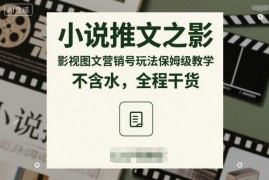 小说推文影视图文营销号玩法保姆级教学 全流程无水分干货