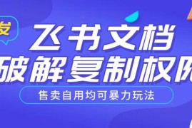 飞书文档复制权限破解实用教程 可自用可售卖的信息差玩法