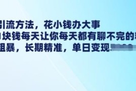 1元低成本引流创业粉教程 低风险获取高转化精准客户