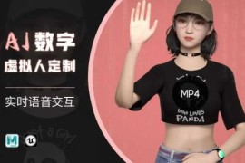 AI数字人实时语音交互特训营 超写实虚拟人定制全流程教学