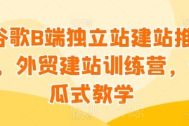 谷歌B端外贸独立站建站推广 零基础傻瓜式全流程教学