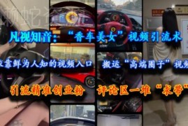 利用凡视知音香车美女视频引流 小众入口获精准创业粉实操教程