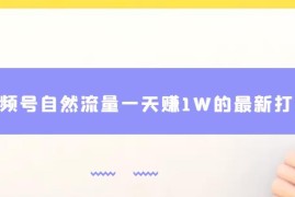 视频号零投资自然流量最新打法 单日赚1W实操运营教程