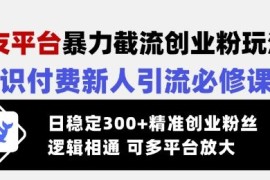 SOUL交友平台截流创业粉玩法 知识付费新人引流实操教程
