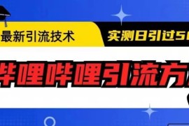 哔哩哔哩实用引流操作方法教程 实测可实现单日引流50人