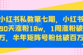 小红书私教第七期教程：90天涨粉18万实操及变现全攻略