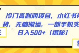 小红书冷门高利润带货玩法 无脑搬运仅用一部手机可实现日入500+