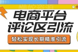 电商平台评论区引流全指南 从基础操作到长期精准引流技巧