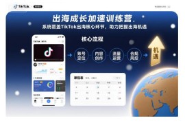 TikTok出海成长加速训练营 全流程覆盖核心环节助力把握出海机遇