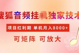 最新搜狐音频挂机项目实操玩法 红利期可矩阵放大稳定月入5k