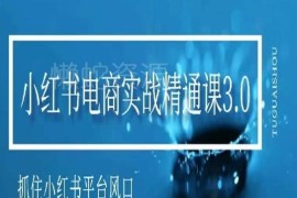 小红书电商实战精通课3.0 零基础开店运营全流程实操教程