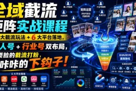 全域截流矩阵实战课程 7大玩法6平台落地双账号布局精准获客