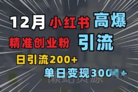 小红书单图引流精准创业粉教程 单日获200+可筛选付费意向用户