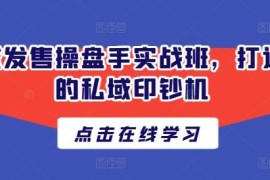 私域发售操盘手实战班教程 从0到1掌握全链路私域发售玩法