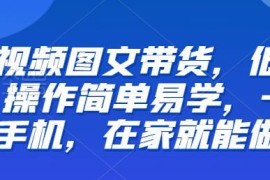 零基础短视频图文带货实操教程 一部手机在家即可操作学习