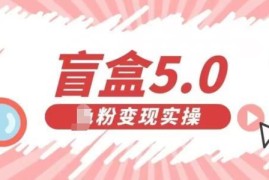 盲盒交友5.0男粉变现实操项目 亲测有效落地玩法全解析