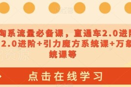 2023淘系流量运营必备课 直通车引力魔方万象台全阶实操课程