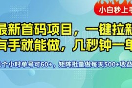首码一键拉新项目玩法揭秘 低门槛操作单号每小时收益可达60+
