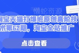2024淘宝天猫打爆班高阶教程 淘宝全站推广实操玩法全解析