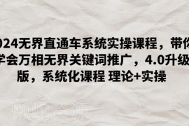 2024无界直通车系统实操课程 淘宝万相无界关键词推广教程