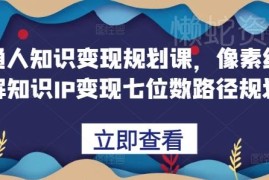 普通人知识变现规划课 像素级拆解知识IP七位数变现全路径