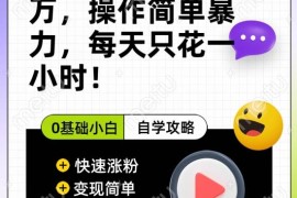 债务优化项目实操解析：低时间投入多途径变现方法分享