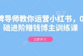 0基础小红书运营训练课 金牌导师教你进阶赚钱博主
