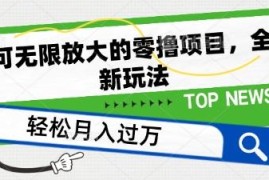 零撸项目脚本养机全新玩法 单机单日收益50+操作方法揭秘