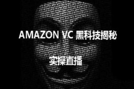 亚马逊VC黑科技与白帽玩法实操 跨境卖家运营避坑教程
