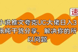 小说推文夸克UC渠道实操干货 资深从业者运营经验全分享