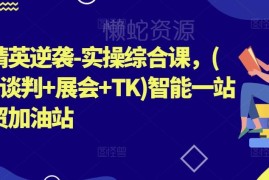 外贸实操综合精品课 涵盖拓客谈判展会TikTok运营全流程教学