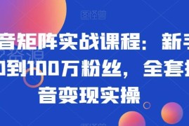 抖音矩阵实战系统课程 新手从0涨粉到变现全套实操指南
