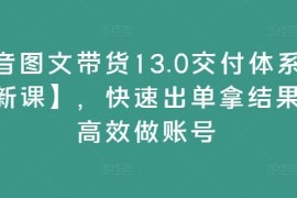 2024抖音图文带货13.0体系课 全品类实操助力快速起号出单