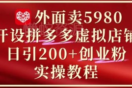 拼多多虚拟店铺实操运营教程 单日引流200+创业付费粉攻略