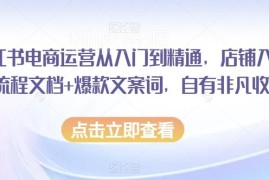 小红书电商运营从入门到精通 店铺入驻全流程及爆款运营教程