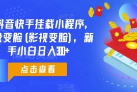 0粉可做抖音快手超级变脸小程序挂载 新手日入300+实操教程