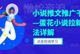 蛋花小说拉新玩法详细拆解 小说推文推广实用干货指南