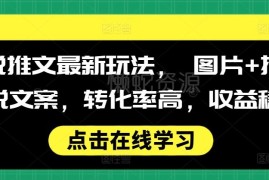 2024小说推文最新玩法 图片配文案高转化稳定收益实操教程