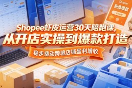 Shopee虾皮30天运营陪跑课 从开店实操到爆款打造助力跨境店增收