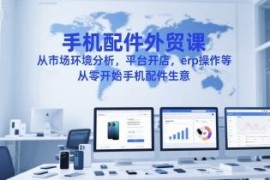 手机配件外贸实操系统课 零基础学开店选品ERP运营全流程
