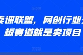 AI卖课联盟网创教程 虚拟项目引流变现全流程实操指南