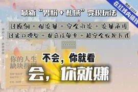 2024年男粉+私域变现玩法解析 长期可做的高收益赚钱项目