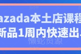 Lazada本土店运营实操课程 助力新品上架1周内快速出单