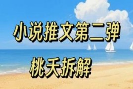 小说推文项目操作全流程第二弹 0粉可做低门槛新手入门指南
